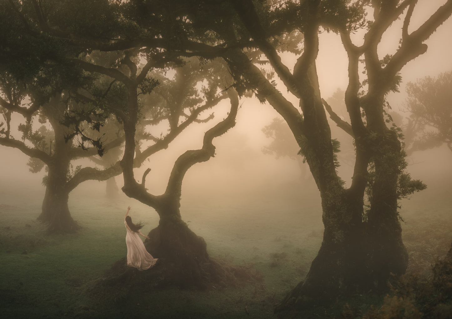 Call of the Sentinels