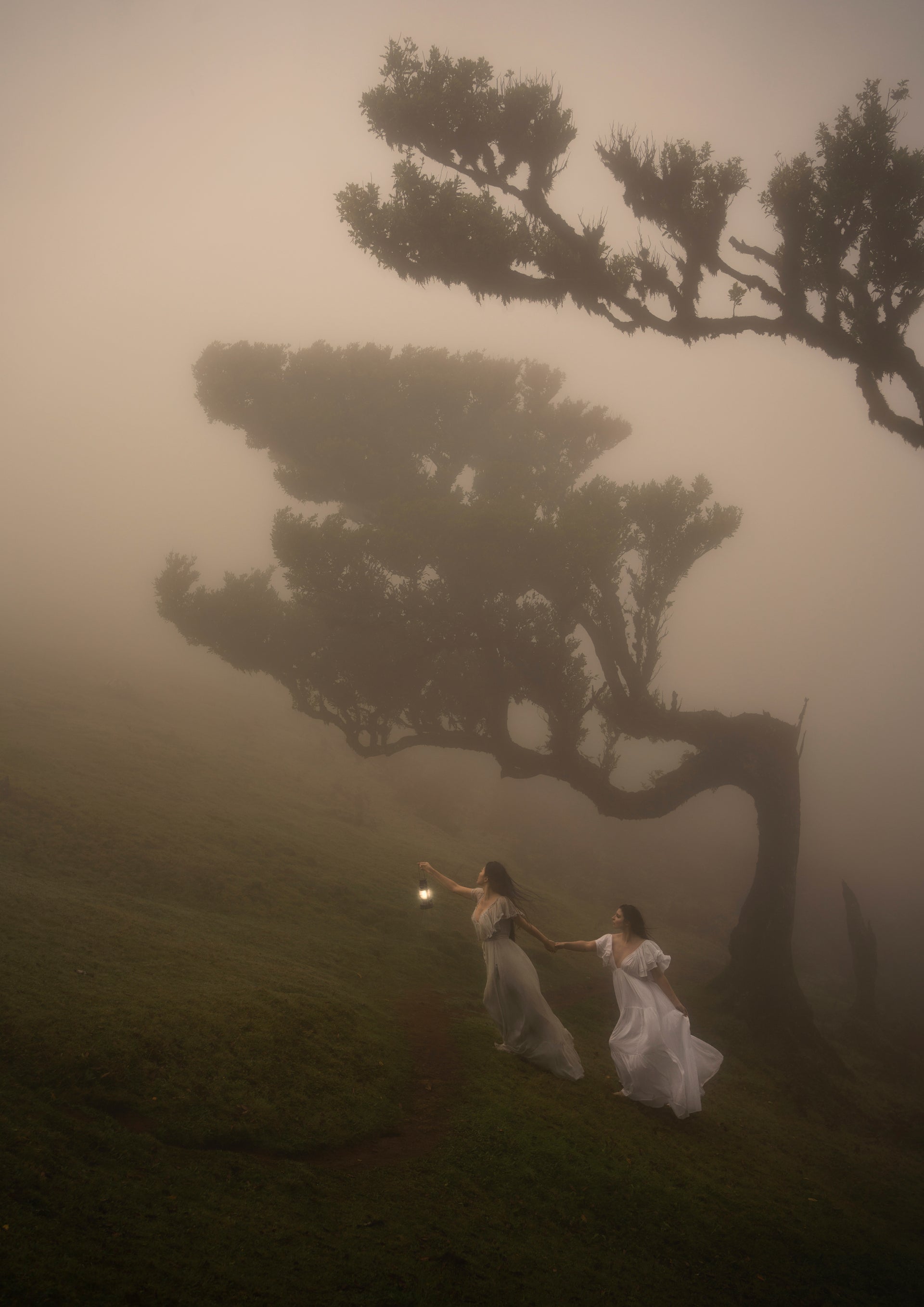 Year: 2022Location: Madeira, Portugal At times, the fog was so thick in thi...